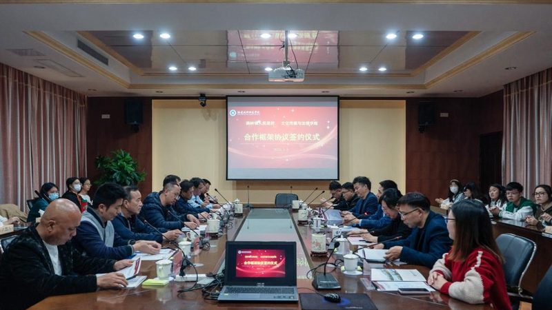 动画制作：三维与二维，一场视觉艺术的对话