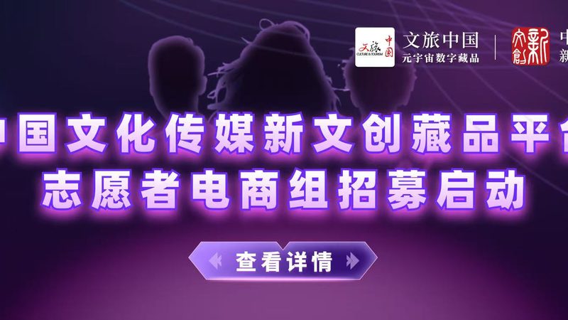 品牌设计公司案例解析：优缺点全解析
